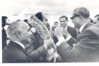 196610nanjiladha