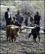 1998-_180534_farmer150