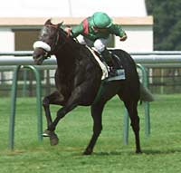 2003-dalakhani