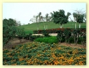 2004-11 azharpark1