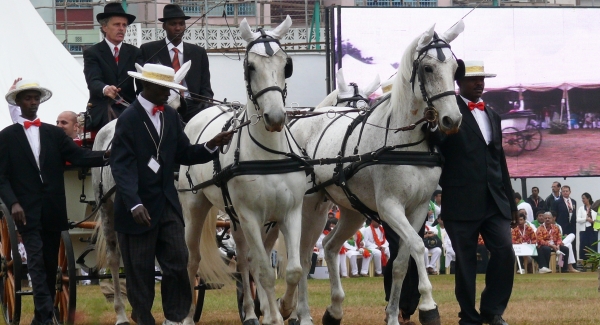 2008-06-JubileeGames-p1030605