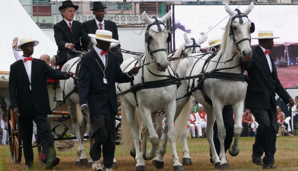 2008-06-JubileeGames-p1030606