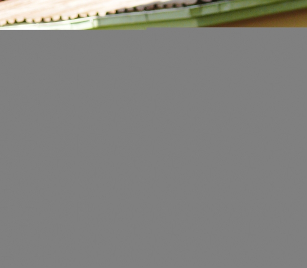 2008-06-JubileeGames-p1030771