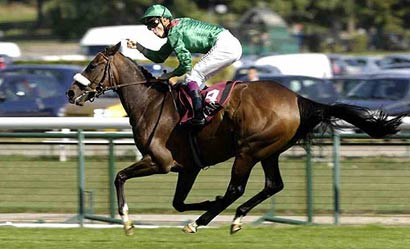 Aga Khan's Horse Zarkava Racing - 2008