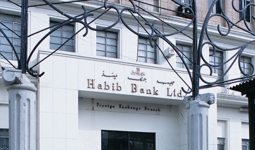 AKFED invested in Habib Bank Ltd., which was privatised by the Pakistan government