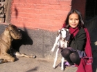 Pashu-Sakhis  which means “friends of the animals” in Hindi