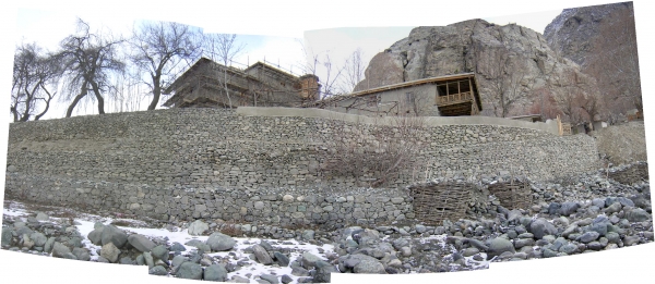 Shigar-Progressive-sf0104c
