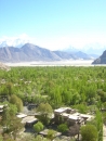 Shigar-Progressive-sf0404a