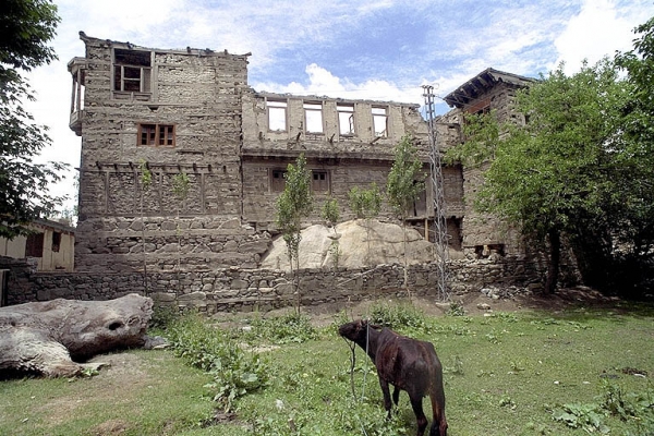 Shigar-Progressive-sf0800b