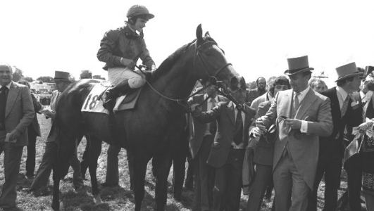 Shergar with Aga Khan & jockey Walter Swinburn after winning the Derby Stakes Classic (© PA Images)