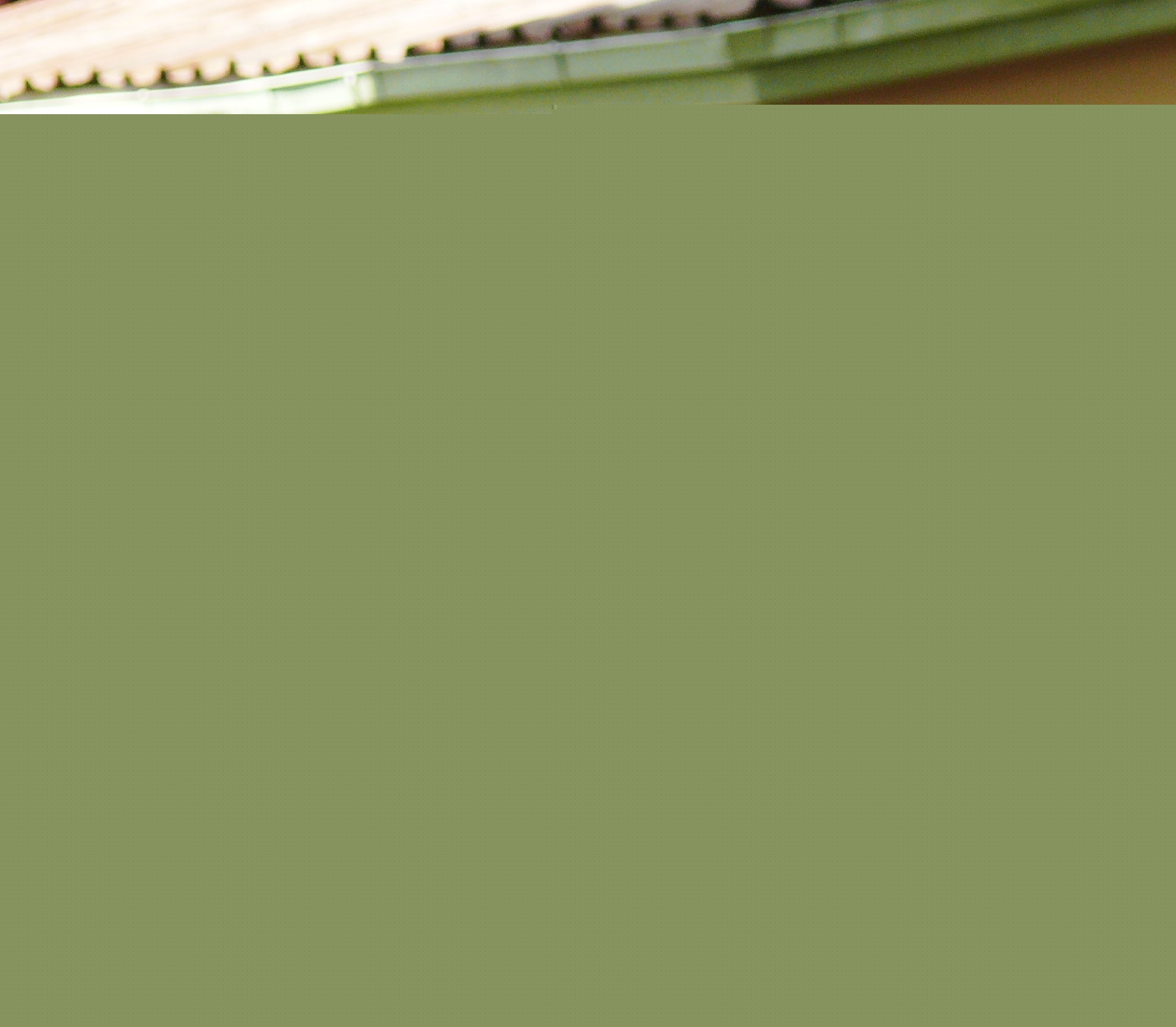 2008 06 JubileeGames P1030771