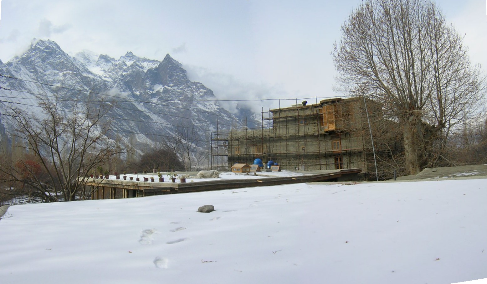 Shigar Progressive Sf0104a