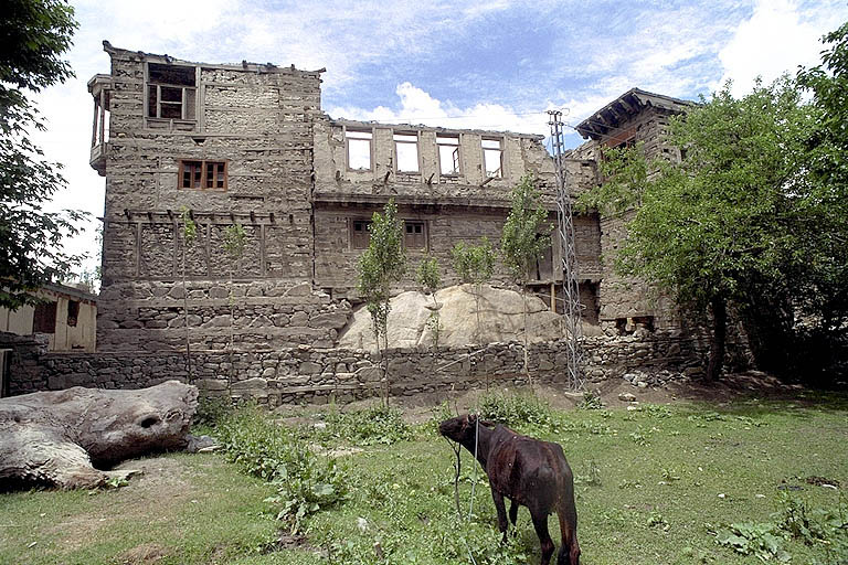 Shigar Progressive Sf0800b