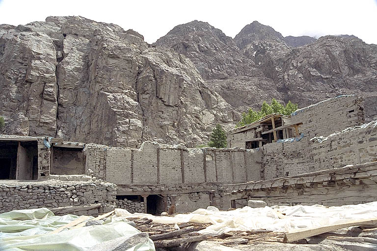 Shigar Progressive Sf0800c