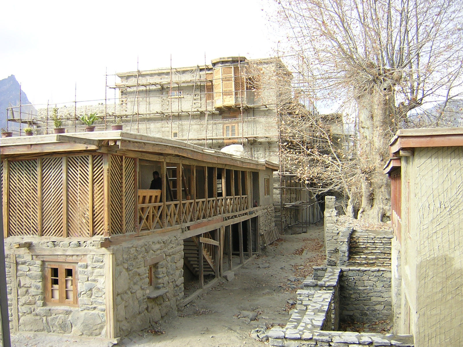 Shigar Progressive Sf1103f