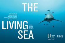 THE LIVING SEA: PHOTO-ESSAY BY HUSSAIN AGA KHAN   2020-09-27