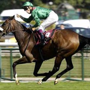 2008-10-05 Longchamp