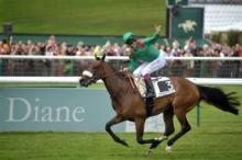 Brilliant Zarkava wins the Arc - 2008-10-05