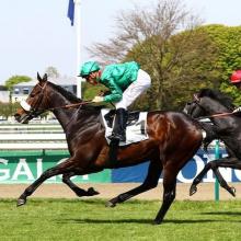 Summer Break For Aga Khan's Shakeel