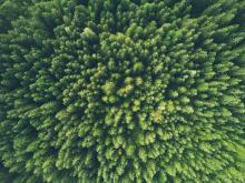  AKDN, Prince William to launch environmental prize